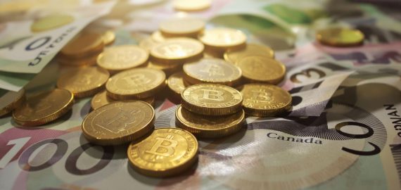 Claim Your Free Cash Bonus: No Deposit Casino Canada Offers for 2025