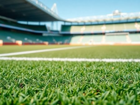 Unlocking the Full Potential of bet365: A Comprehensive Guide
