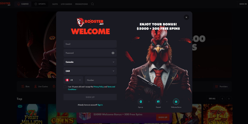 Roosterbet Casino CA Signup-Roosterbet casino review